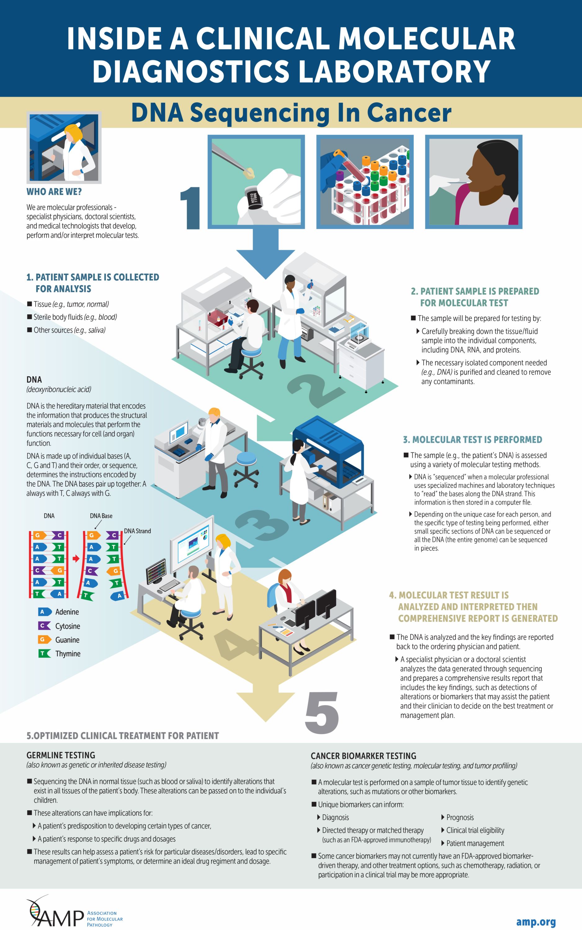 AMP Diagnostic Lab Cancer PDF