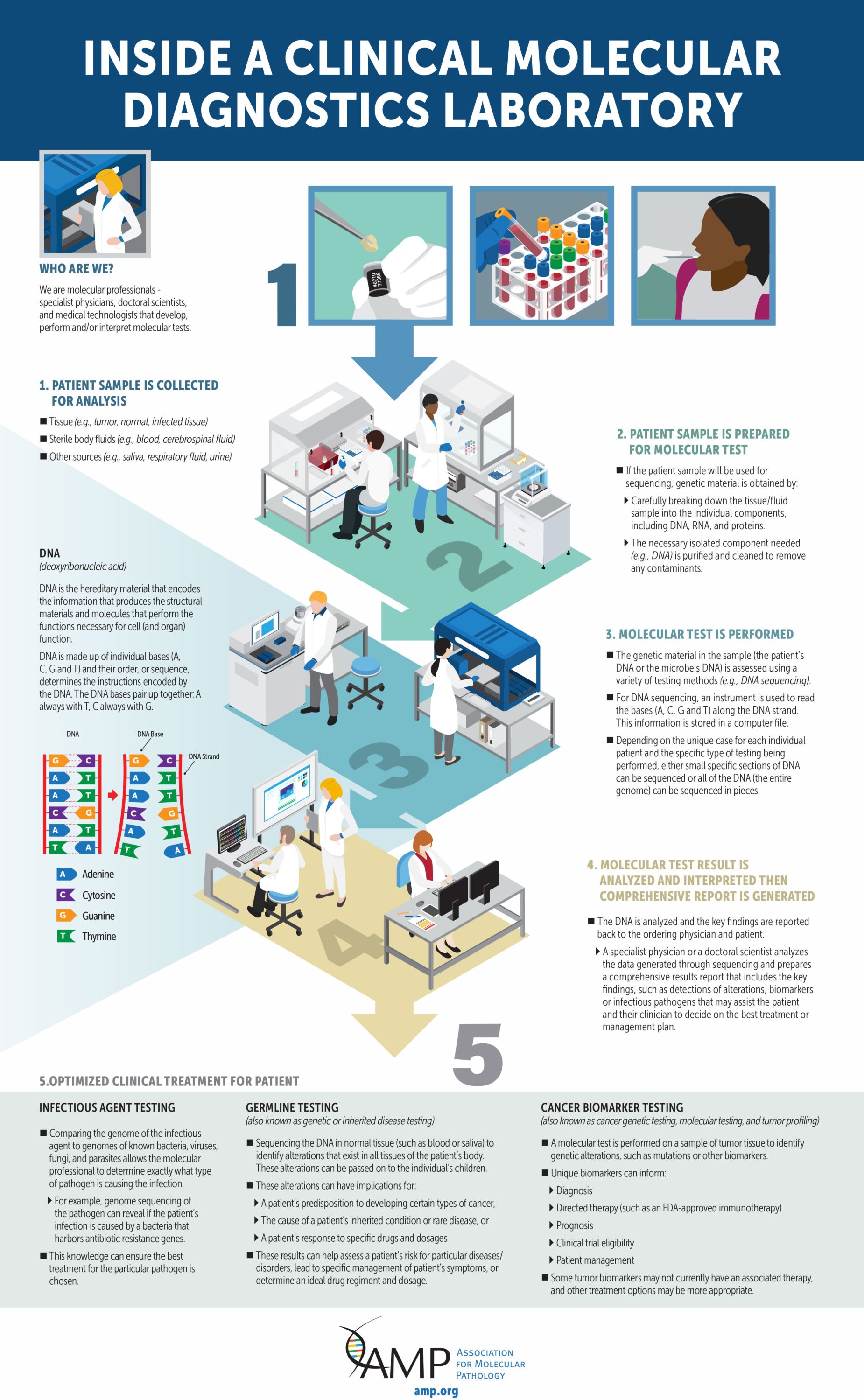 Inside a molecular diagnostics lab